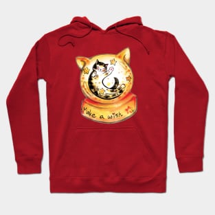 Make a cat wish Hoodie